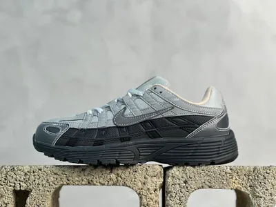 Nike P-6000